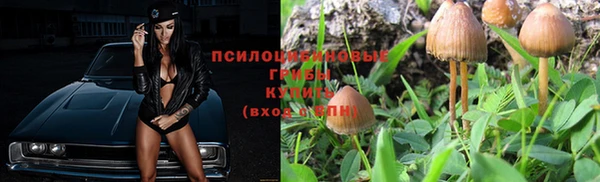 PSILOCYBIN Киреевск