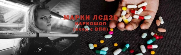 PSILOCYBIN Киреевск