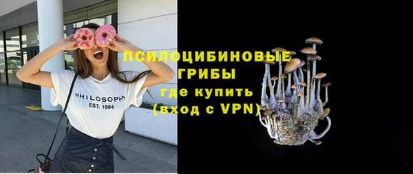 PSILOCYBIN Киреевск